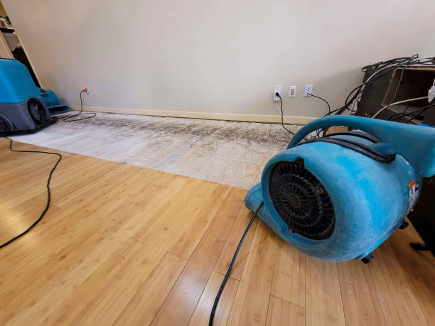 Professional Sewage Cleanup technician working in Point Mugu Nawc, CA